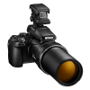 Df m1